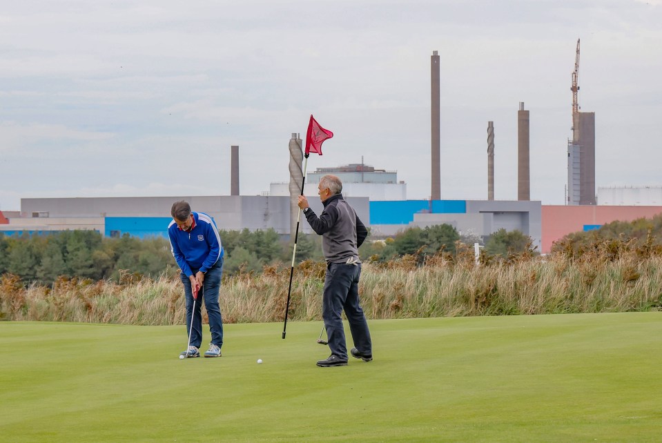 Golfers putt close to the plant