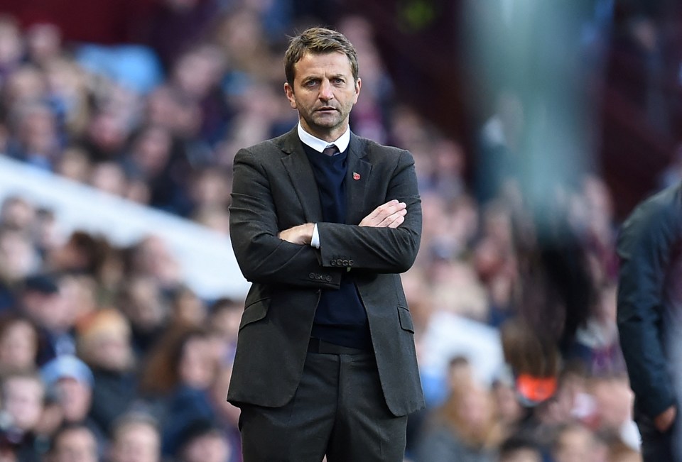 Tim Sherwood has revealed that he fears for the future of the Tottenham