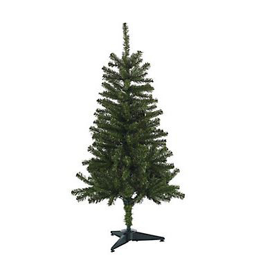 B&Q has a 4ft tree for £11 – perfect if you don’t have a lot of space or don’t want to spend much