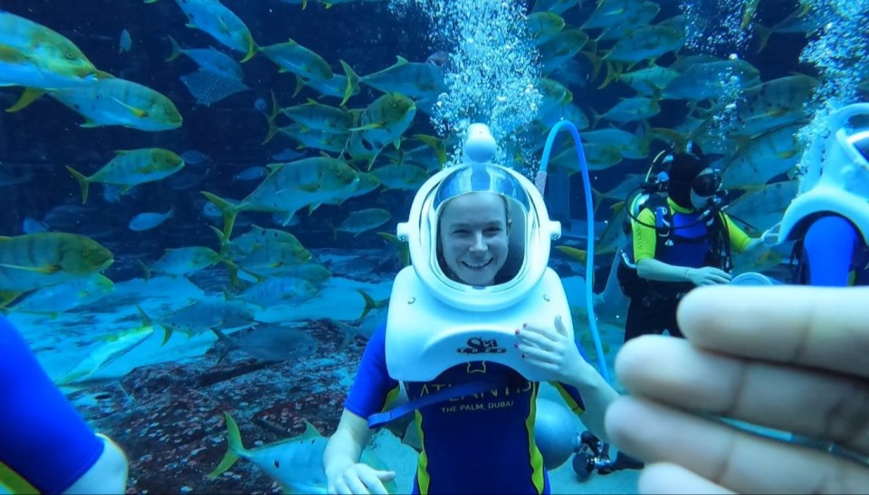 At the bottom of the famous Ambassador Lagoon Aquarium you can swim with sharks circling overhead