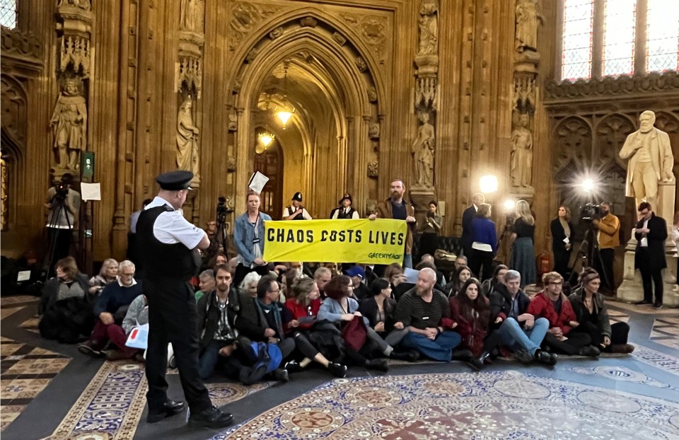 More than 30 Greenpeace campaigners filled parliament today