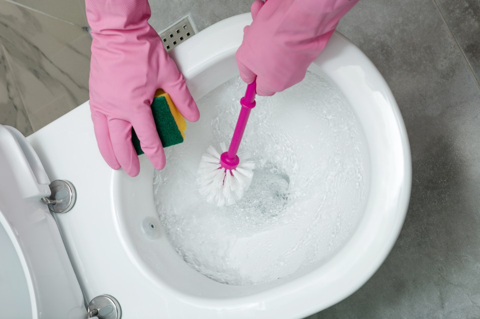 If you are fed up trying to remove limescale from your loo, here's a hack for you