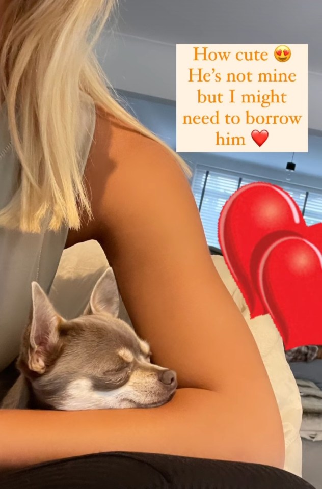 Christine has loved spending time with Chelcee's dog