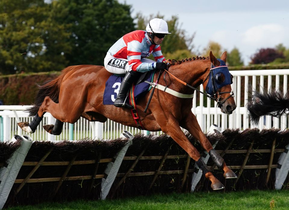 Robbie Dunne rode Ernesto to victory on his first ride back from his ban