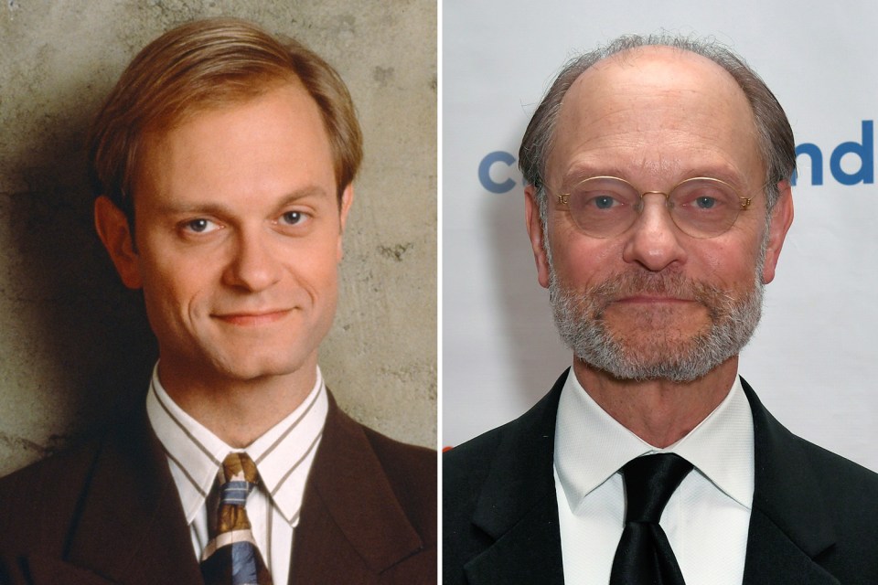 David Hyde Pierce starred as Frasier's eccentric brother Niles