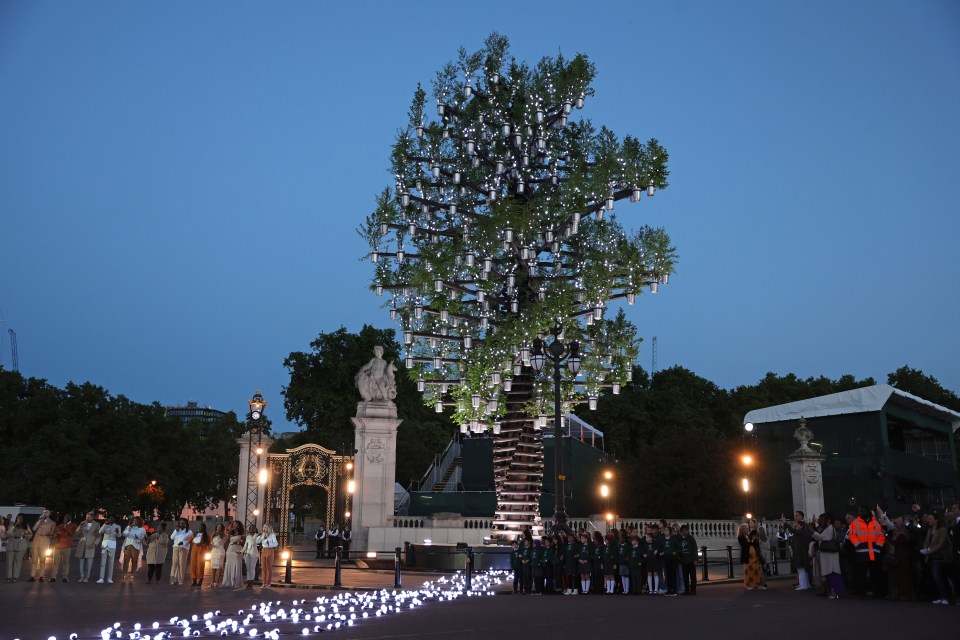 The 350 saplings made up the Tree of Trees outside Buckingham Palace to mark her seven decades on the throne