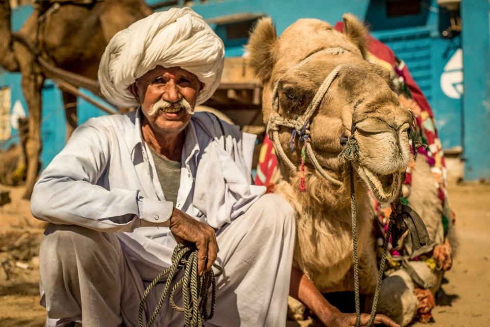 Camel owners are given training and advice to avoid preventable problems