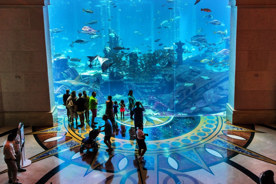 The Ambassador Lagoon Aquarium is essentially a humongous fish tank, which dominates the lobby in the East Tower