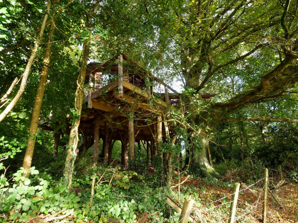 If Mr Kitson is not granted planning permission the treehouse will likely have to be torn down