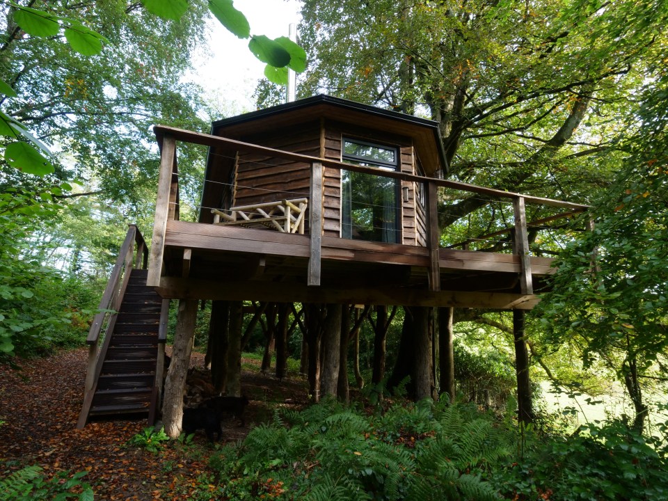 Mr Kitson said he will be 'heart-broken' to tear down the treehouse