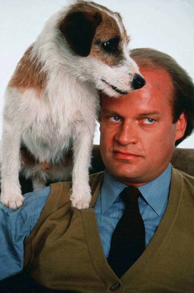 Moose the dog appeared in other TV shows after Frasier ended