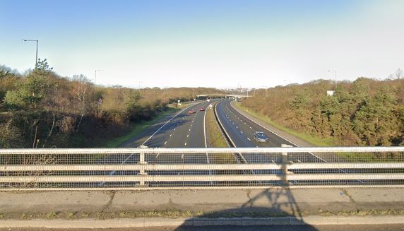 A man and a woman in their 20s were killed in a car crash with the driver hospitalised