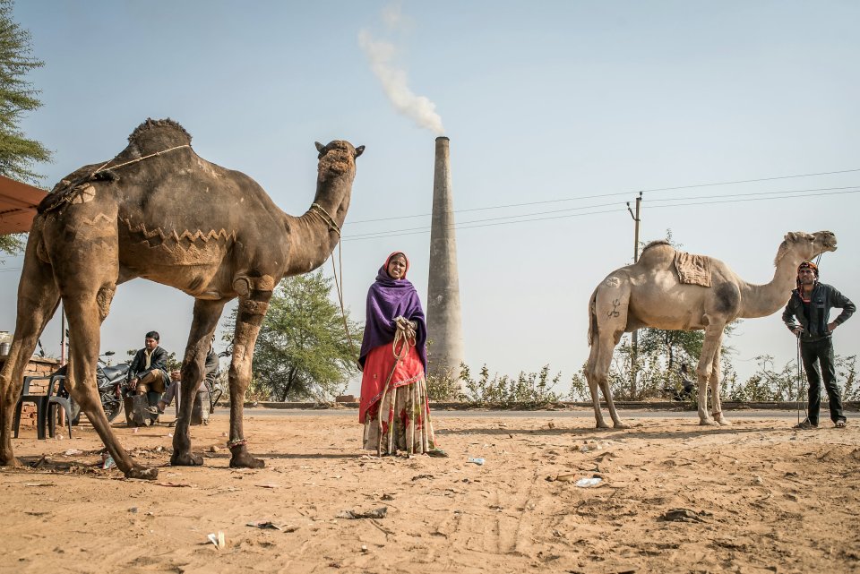 Without shade, camels and local workers - including families who help make the bricks - work up to nine hours a day