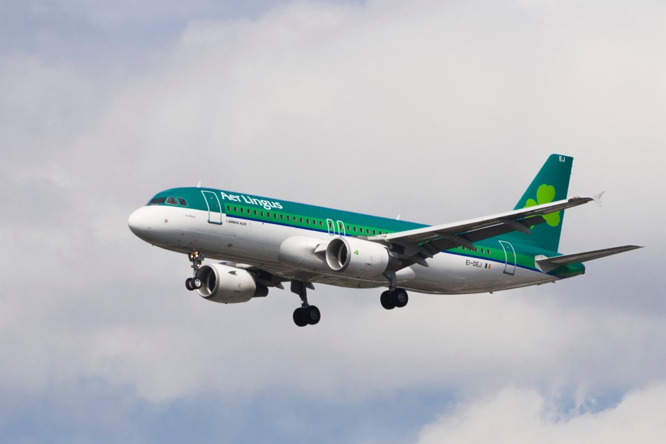 Aer Lingus apologised for the food and said they wished to provide better service