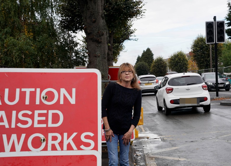 Polly Perkins said: 'At rush hour it is just gridlock - it’s carnage'