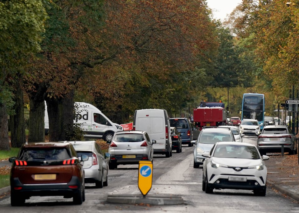 Kay Ross, 49, think the cycle lane won't be used