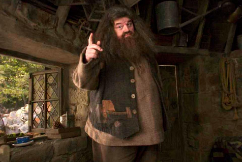 The actor said his Harry Potter character Hagrid will 'live on'