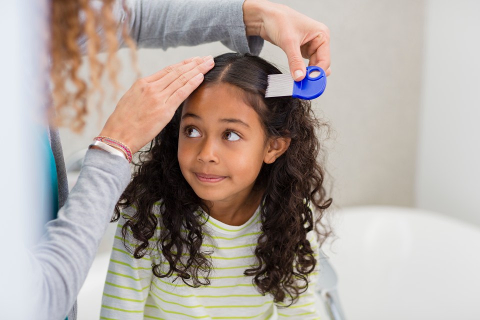 Searches for head lice and nit remedies surged by 34 per cent since the start of the month, as schools reopened