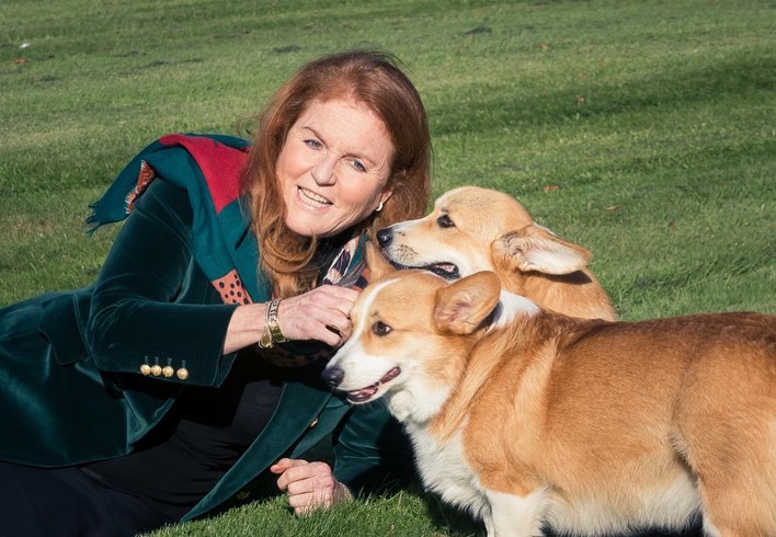 The Duchess of York enjoys playing with Muick and Sandy in the autumn sunshine