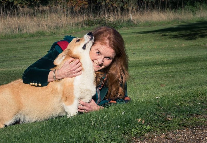 Sarah was clearly having fun with the dogs as she played with them at her home in Windsor