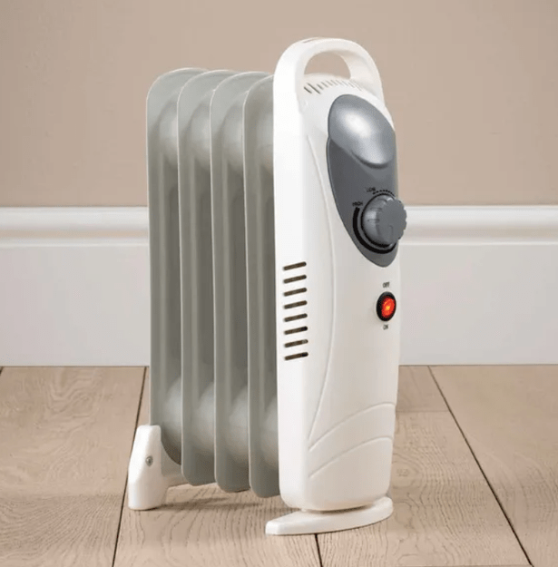 Dunelm's '650W 5 Fin Oil Filled Radiator' (pictured) is ideal for transporting around the home