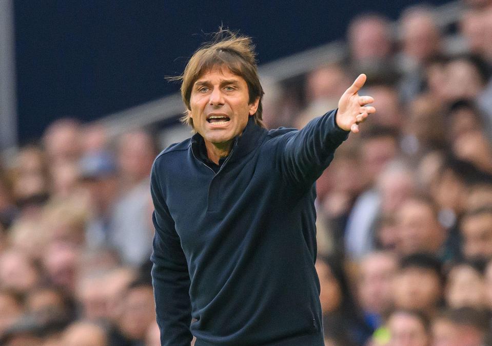 Antonio Conte will be pivotal for the club next summer according to Sherwood