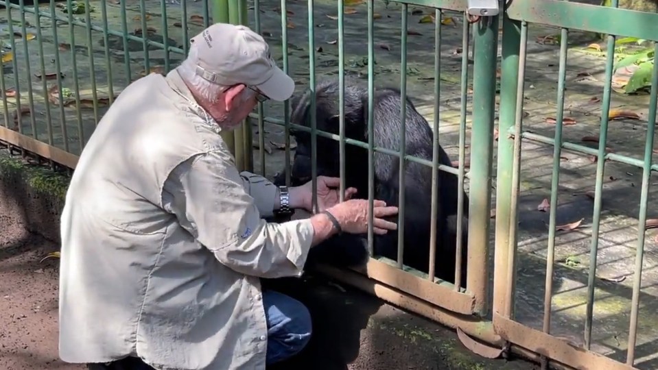 The pair hold hands while he tries to explain why he has to go