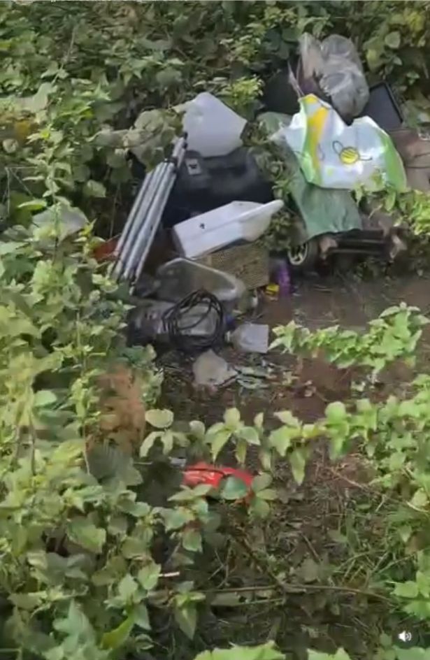 A woman was found with this makeshift 'home' in a hedge