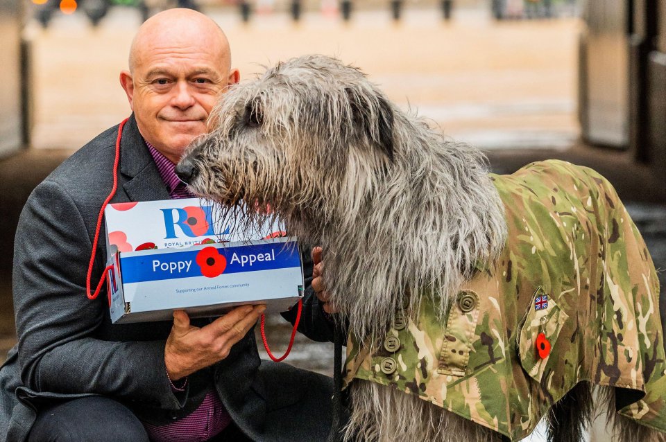 TV’s Ross Kemp sold poppies with the Irish Guards and their Irish Wolfhound mascot, Seamus