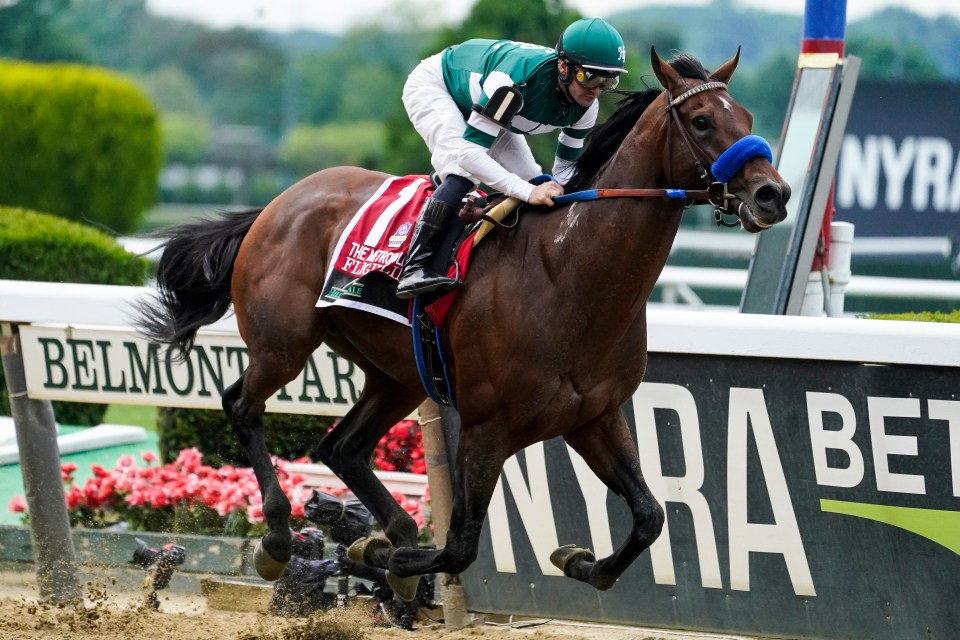 Flightline has been billed as the best horse in the world