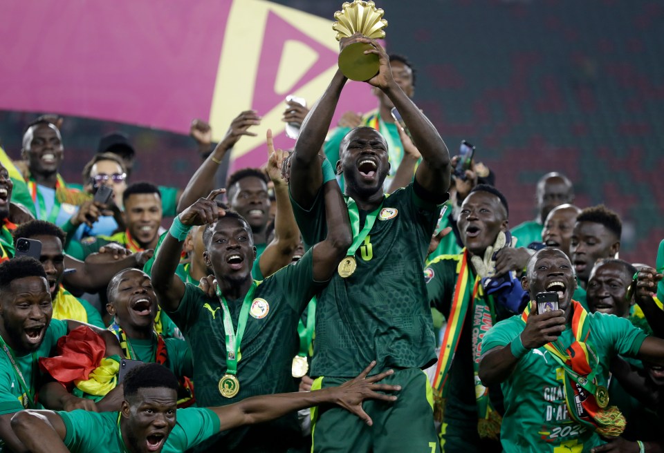 Cahill reckons Africa Cup of Nations winners Senegal will have a good tournament