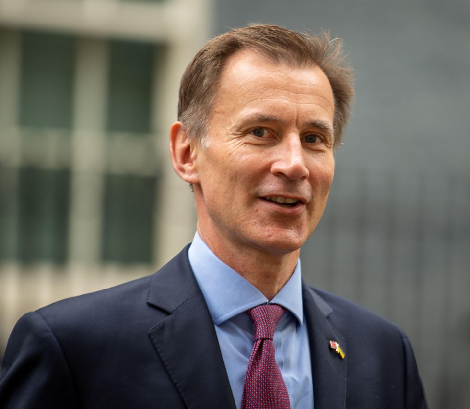 Mr Hunt was reappointed as Chancellor by Rishi Sunak in late October