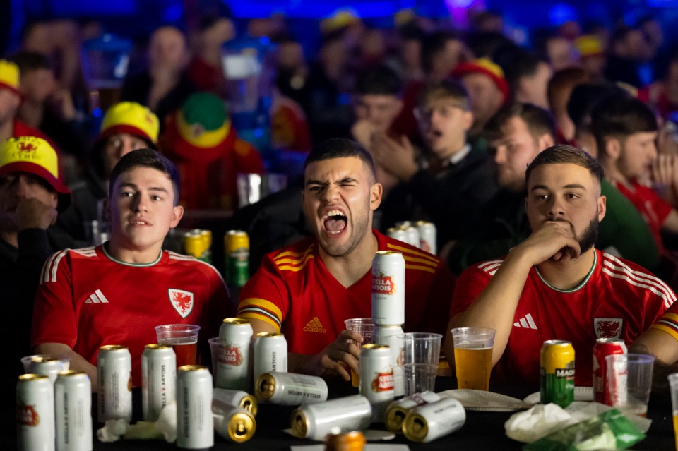 Frustrated Wales fans at the Vale Sports Arena in Penarth, Wales