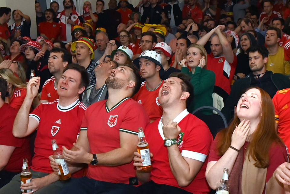 Wales fans cry out in disappointment at The London Welsh Centre