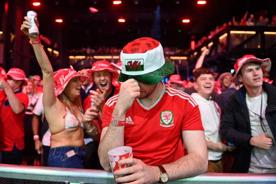 A Wales fan looks disappointed with the score