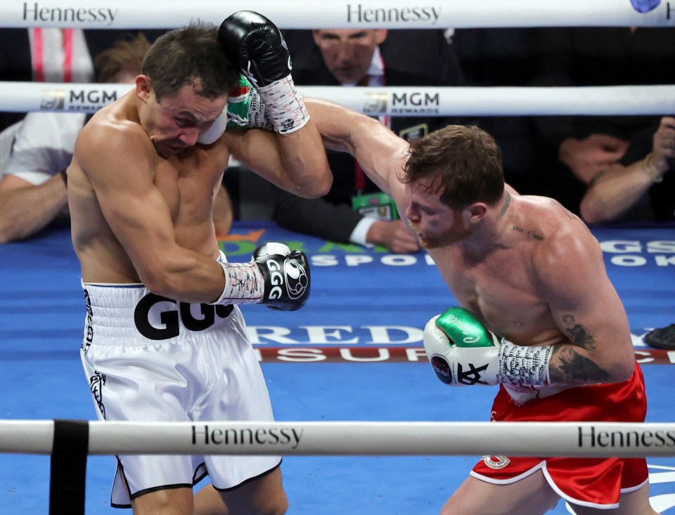 Paul called for a blockbuster clash with former pound-for-pound king Canelo after the fight