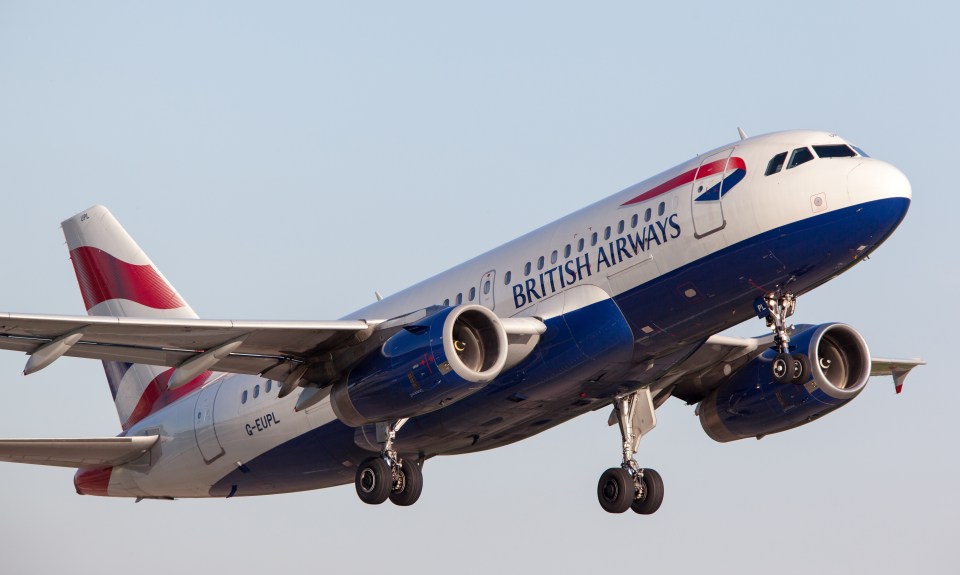 British Airways are giving customers the opportunity to purchase carbon renewal credits