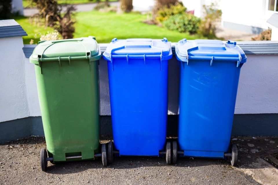 An anonymous woman has told how her "selfish" neighbour places his bins the road in a bid to reserve a parking space. Pictured, stock image