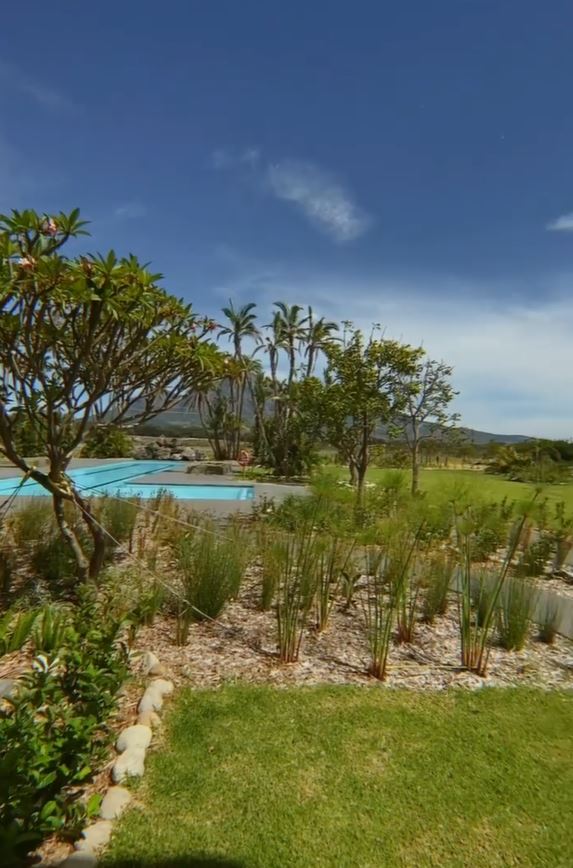 The outdoor swimming pool is surrounded by greenery