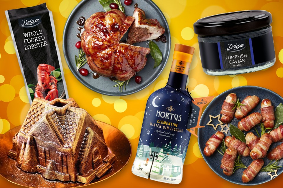 We round up the best bits from Lidl's Christmas food range this year