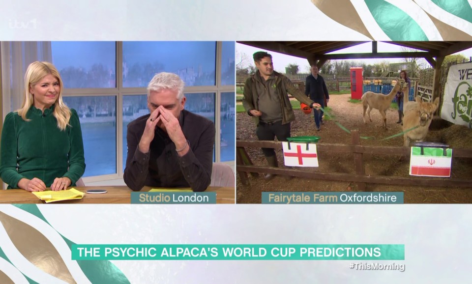 Phillip Schofield looked crushed after the verdict came in from Fairytale Farm