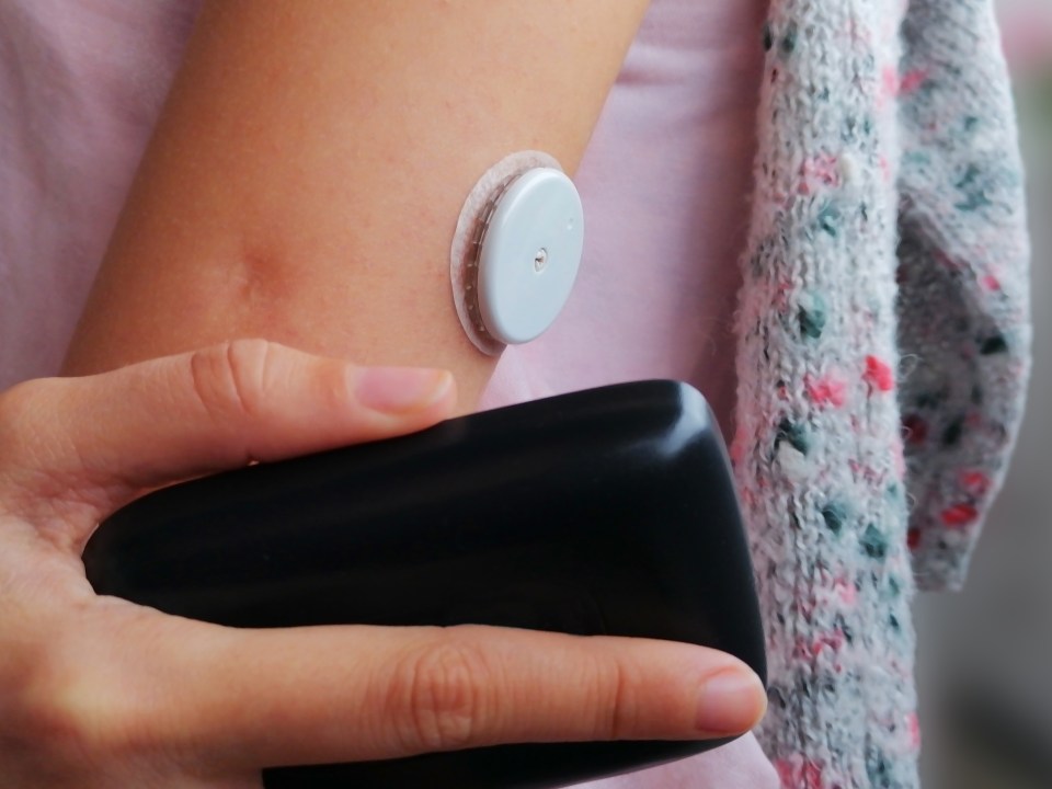 There is currently no cure for type 1 diabetes and patients must monitor their blood sugar (Pictured: A glucose monitor)