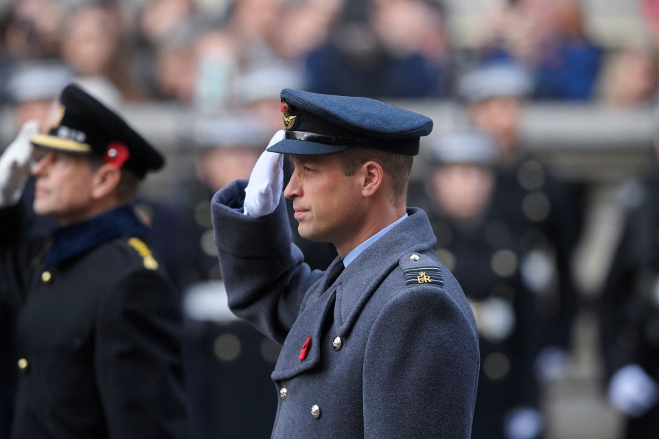 He was joined by Prince William. who saluted the nation's fallen heroes