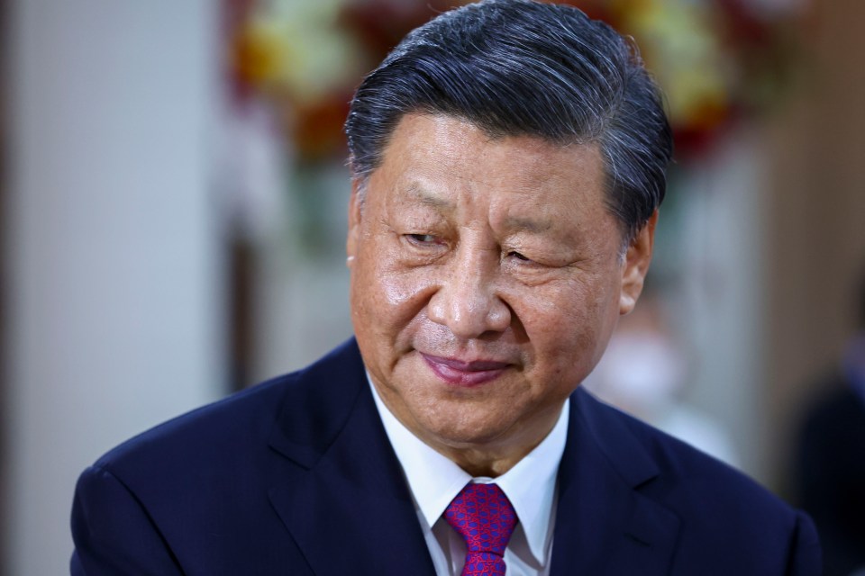 Chinese President Xi Jinping aims to achieve zero Covid which has meant vast cities going into lockdown for months on end