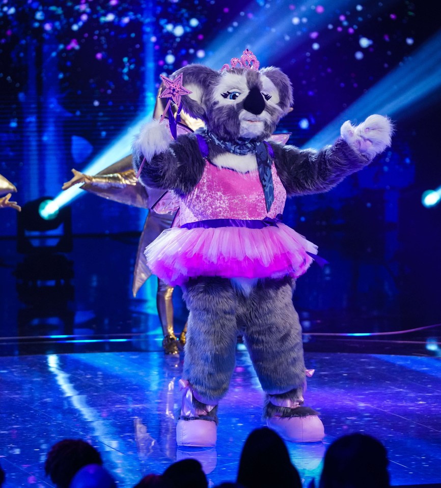 Koala is shown in a pink ballet outfit and crown with a wand