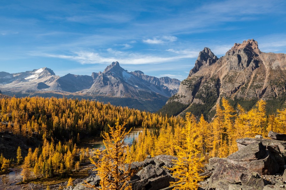 The Parques Nacionales Naturales de Colombia boasts breathtaking views