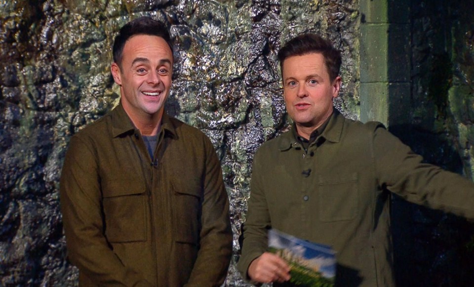 Ant and Dec will be back for more trouble