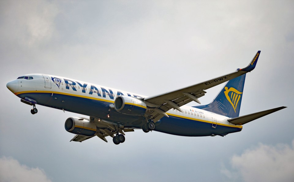 Ryanair's passengers will have to pay extra if they don't check-in online before the app and website are down for maintenance