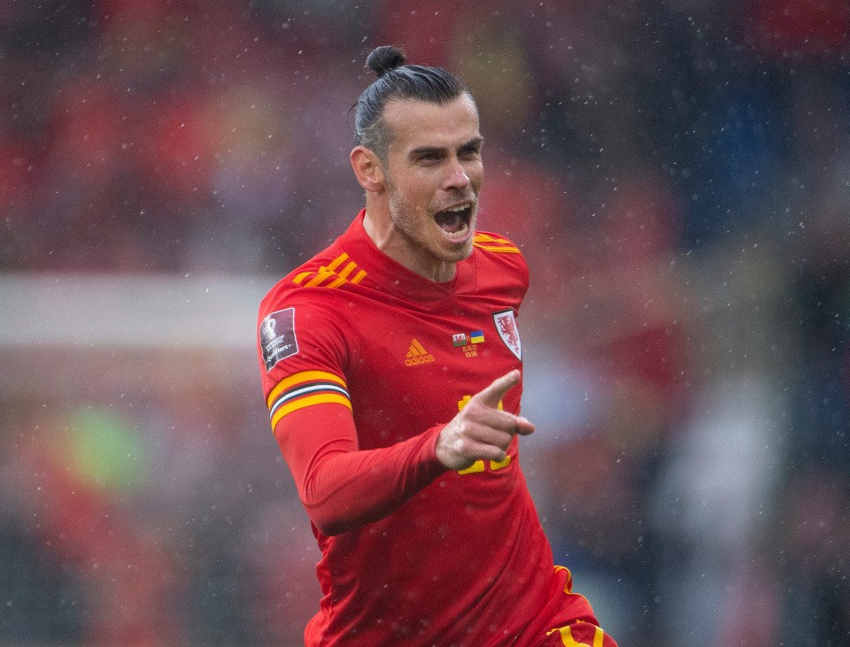 Gareth Bale is looking to lead Wales to World Cup glory when he takes the Dragons to Qatar