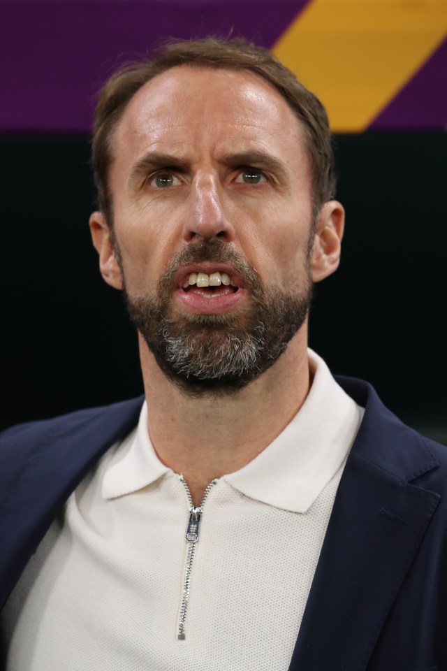 Gareth Southgate has a selection headache ahead after multiple players put themselves in the frame last night